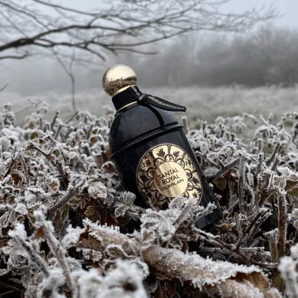 نمای زاویه‌دار ادکلن Les Absolus d'Orient Santal Royal