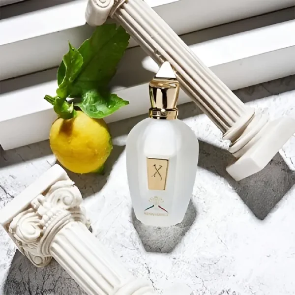 شیشه عطر XJ 1861 Renaissance Xerjoff