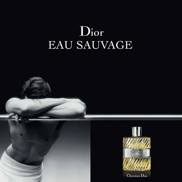 قیمت عطر Dior eau savuage